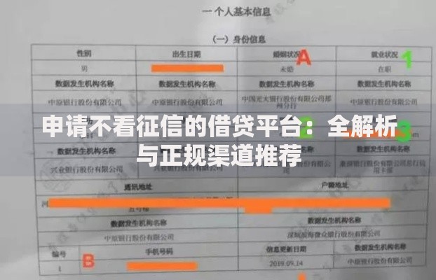 申请不看征信的借贷平台：全解析与正规渠道推荐