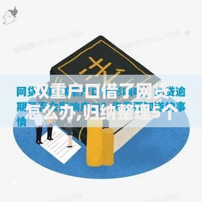 双重户口借了网贷怎么办,归纳整理5个平台借钱利息低