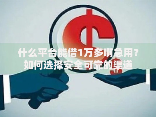 什么平台能借1万多啊急用？如何选择安全可靠的渠道