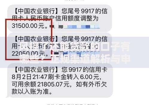 风控了还能贷款的口子有哪些？正规渠道解析与申请攻略