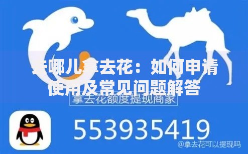 去哪儿拿去花：如何申请使用及常见问题解答