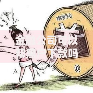 金融公司可以帮黑户下款吗,整合5款正规平台贷款