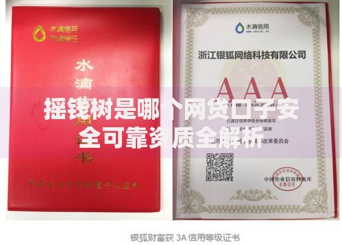 摇钱树是哪个网贷口子安全可靠资质全解析