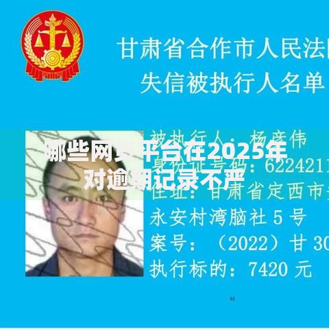 哪些网贷平台在2025年对逾期记录不严