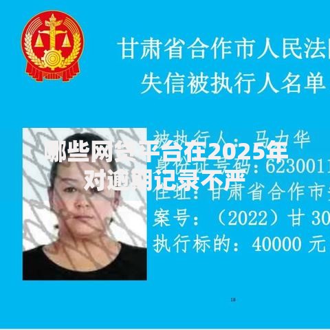 哪些网贷平台在2025年对逾期记录不严