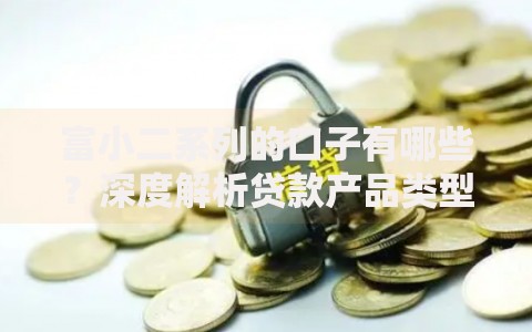 富小二系列的口子有哪些？深度解析贷款产品类型