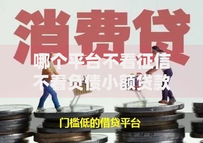 哪个平台不看征信不看负债小额贷款?低门槛渠道解析 哪个平台不看征信不看负债小额贷款?低门槛渠道解析