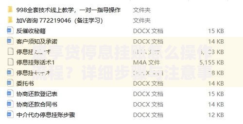 盛享贷停息挂账怎么操作流程？详细步骤与注意事项解析