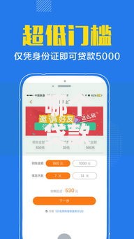 哪个贷款口子叫做蛋蛋花？如何申请？条件与风险解析