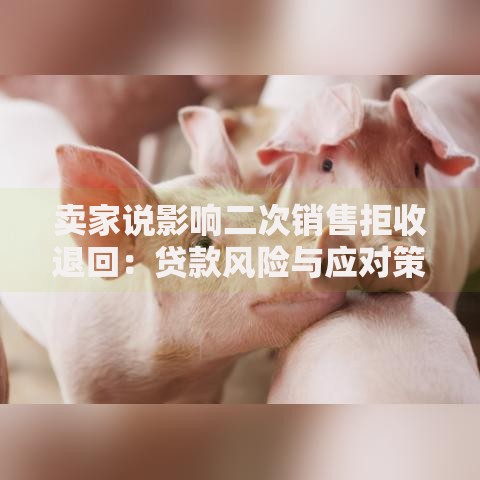 卖家说影响二次销售拒收退回：贷款风险与应对策略解析