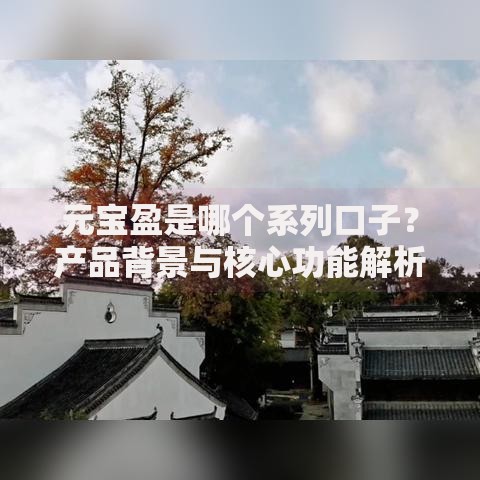元宝盈是哪个系列口子？产品背景与核心功能解析