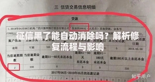 征信黑了能自动消除吗?解析修复流程与影响 征信黑了能自动消除吗?解析修复流程与影响