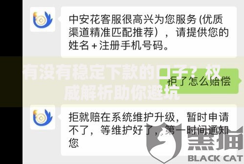 有没有稳定下款的口子？权威解析助你避坑