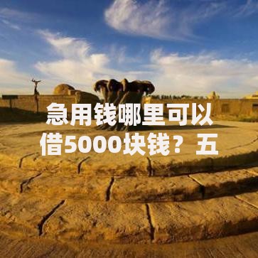 急用钱哪里可以借5000块钱？五种合法渠道深度对比