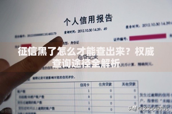 征信黑了怎么才能查出来?权威查询途径全解析 征信黑了怎么才能查出来?权威查询途径全解析
