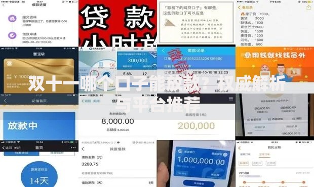 双十一哪个口子能放款？权威解析与平台推荐