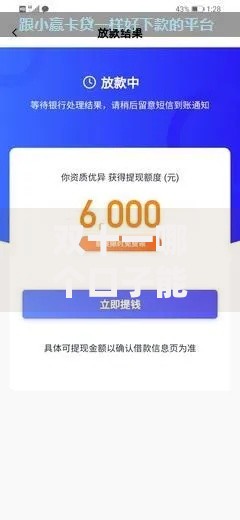 双十一哪个口子能放款？权威解析与平台推荐