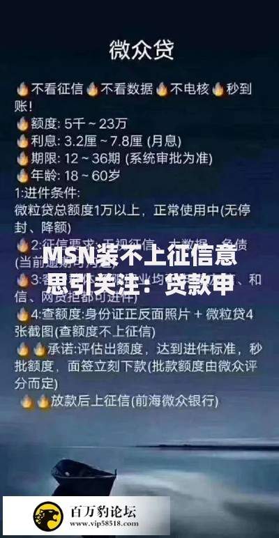MSN装不上征信意思引关注：贷款申请如何避免风险？