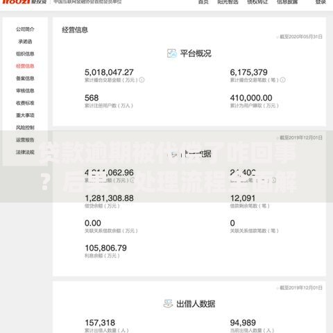 贷款逾期被代偿了咋回事？后果、处理流程全面解析
