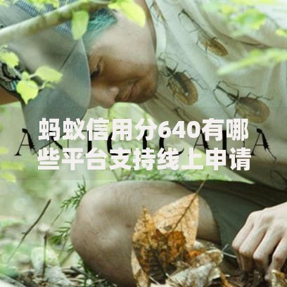 蚂蚁信用分640有哪些平台支持线上申请?深度解析靠谱渠道 蚂蚁信用分640有哪些平台支持线上申请?深度解析靠谱渠道