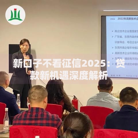 新口子不看征信2025：贷款新机遇深度解析