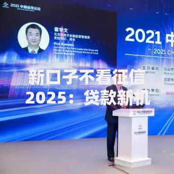 新口子不看征信2025：贷款新机遇深度解析