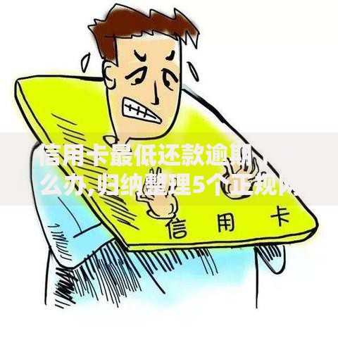 信用卡最低还款逾期了怎么办,归纳整理5个正规网贷平台