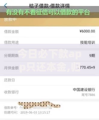 今日必下款app只还本金,归纳整理5个借款平台不看征信容易通过
