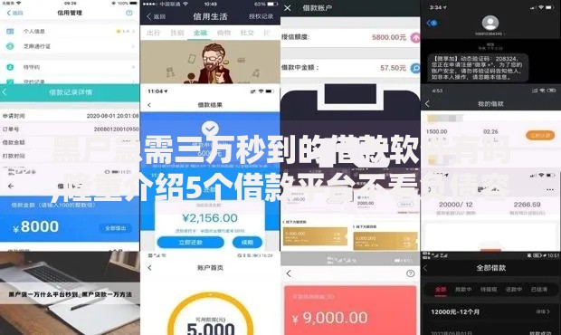 黑户急需三万秒到的借款软件有吗,隆重介绍5个借款平台不看负债容易借钱