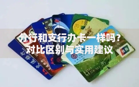 支付宝备用金逾期二天还进去还能取出来吗？真实情况解析
