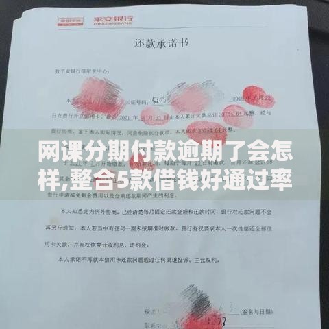 网课分期付款逾期了会怎样,整合5款借钱好通过率高平台