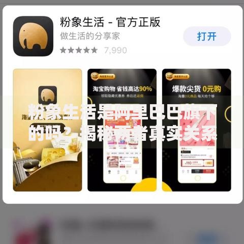 粉象生活是阿里巴巴旗下的吗？揭秘两者真实关系及平台优势解析