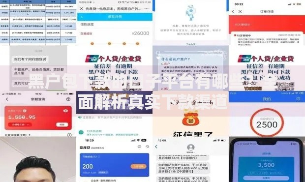 黑户包下款的口子平台有哪些？全面解析真实下款渠道