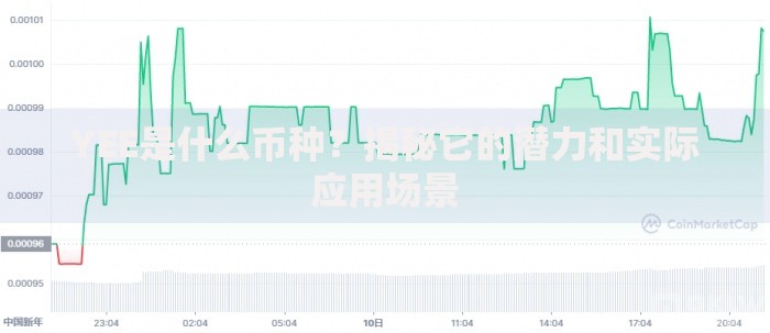 YEE是什么币种？揭秘它的潜力和实际应用场景
