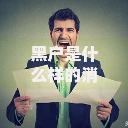 黑户是什么样的消费是限制的,归纳整理5个网络贷款平台