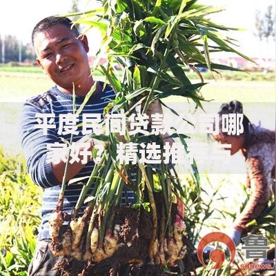 平度民间贷款公司哪家好？精选推荐与避坑指南