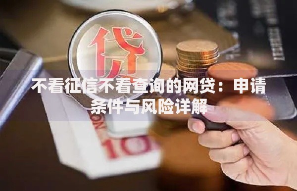 不看征信不看查询的网贷：申请条件与风险详解