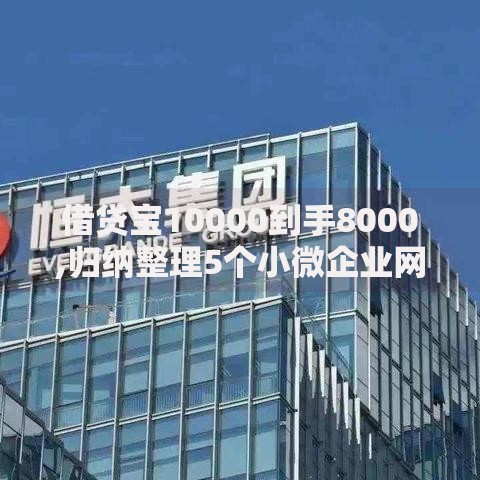 借贷宝10000到手8000,归纳整理5个小微企业网上贷款平台