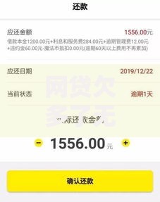 网贷欠多了无力偿还怎么办,为您介绍5款网贷容易下款的平台