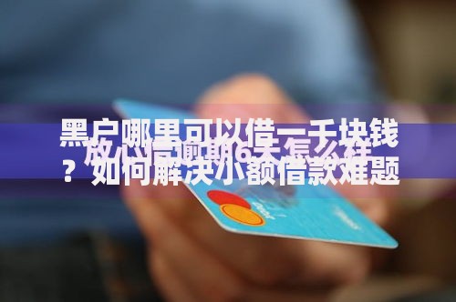 黑户哪里可以借一千块钱？如何解决小额借款难题