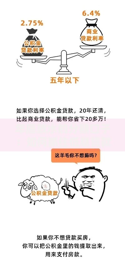 年底放水的分期口子:如何抓住低息贷款机会? 年底放水的分期口子:如何抓住低息贷款机会?