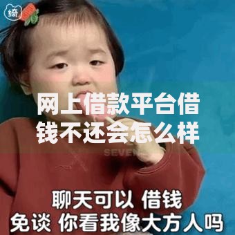 网上借款平台借钱不还会怎么样,整合5款借款软件