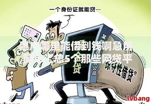 黑户哪里能借到钱啊急用,简单汇总5个那些网贷平台不上征信