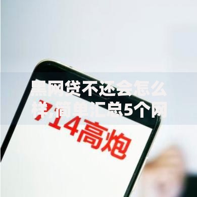 黑网贷不还会怎么样,简单汇总5个网贷平台名字大全列表