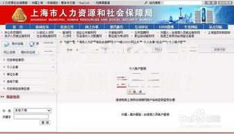 怎样查询个人养老金账户余额？这几种方法超实用