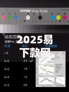 2025易下款网贷平台有哪些优势？最新评测解析