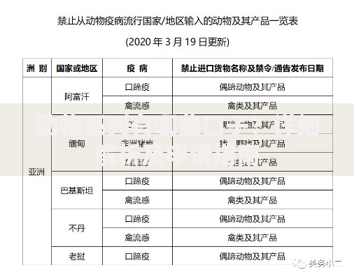 动物系列有哪些口子？详细解析及申请指南