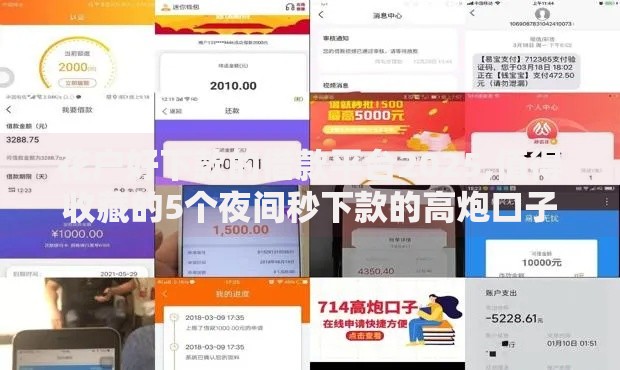 花户好下款的借款平台2025,值得收藏的5个夜间秒下款的高炮口子