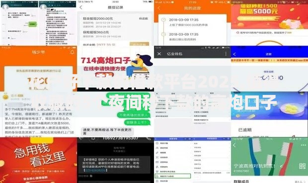 花户好下款的借款平台2025,值得收藏的5个夜间秒下款的高炮口子