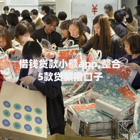 借钱贷款小额app,整合5款贷款撸口子